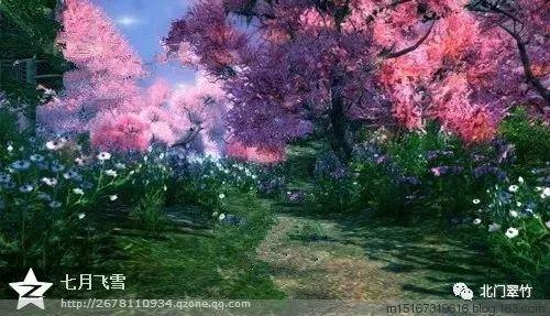 在家咋处理菠萝游戏画面