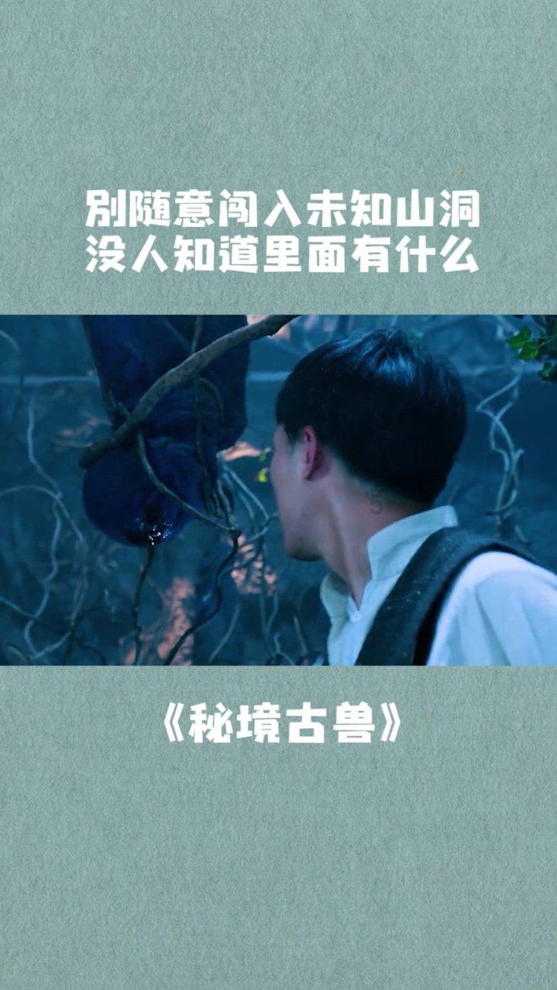 时尚太阳眼镜